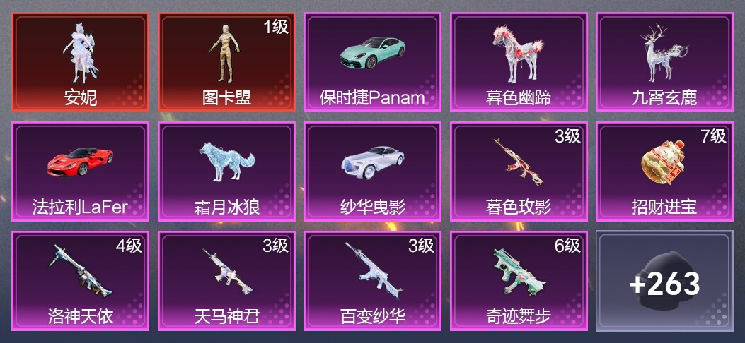 6载具 17升级枪 9粉装 9尾迹 175枪皮 85套装 65805热力 7印记 王牌
